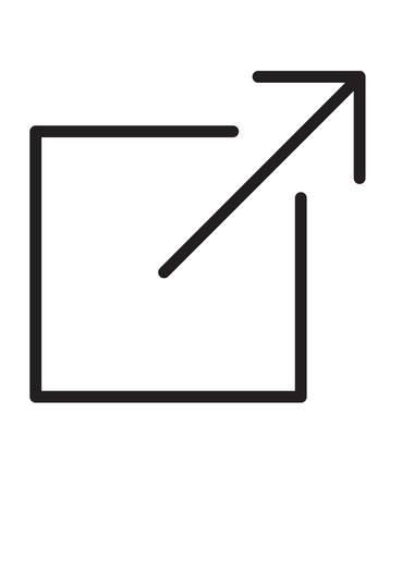 external-link icon